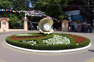 yuvarlak Çiçeklik
