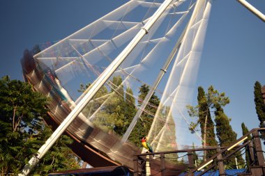 Lunaparkta atlı karınca