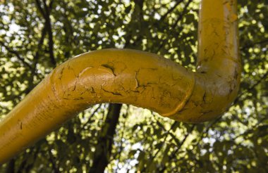 Sarı gaz borusu ormandan geçiyor.