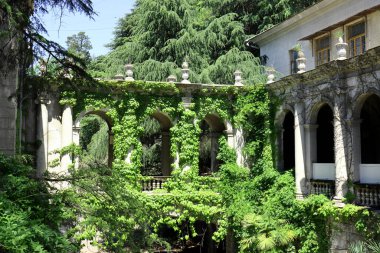 Terk edilmiş eski binanın duvarları bitki örtüsüyle kaplıydı..