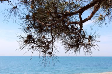 Gösterim deniz plaj