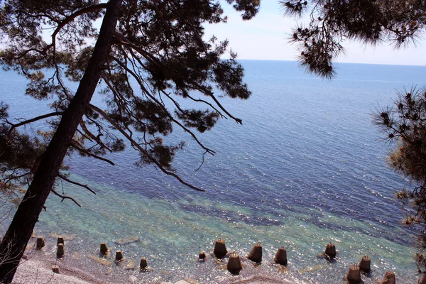 Gösterim deniz plaj