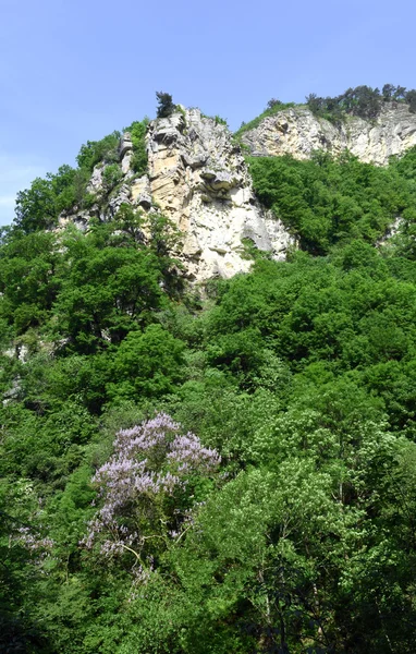 Όρος — Φωτογραφία Αρχείου