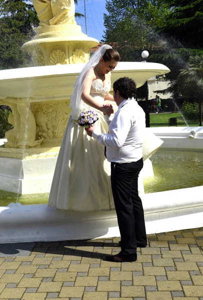 A spring wedding — Stock Photo, Image