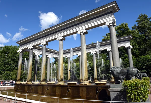 老喷泉在彼得夏宫 — 图库照片