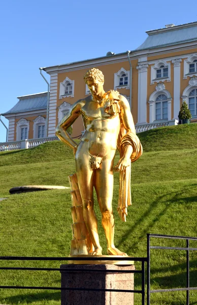 一男子在彼得夏宫的金色雕像 — 图库照片