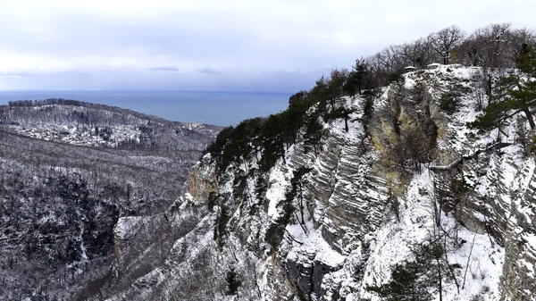 山冬季风景 图库图片