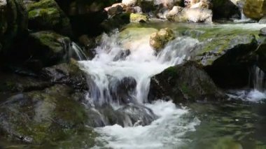 Güzel şelaleler çağlayan