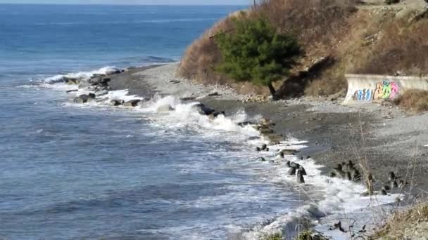 Bonito mar surf — Vídeo de Stock