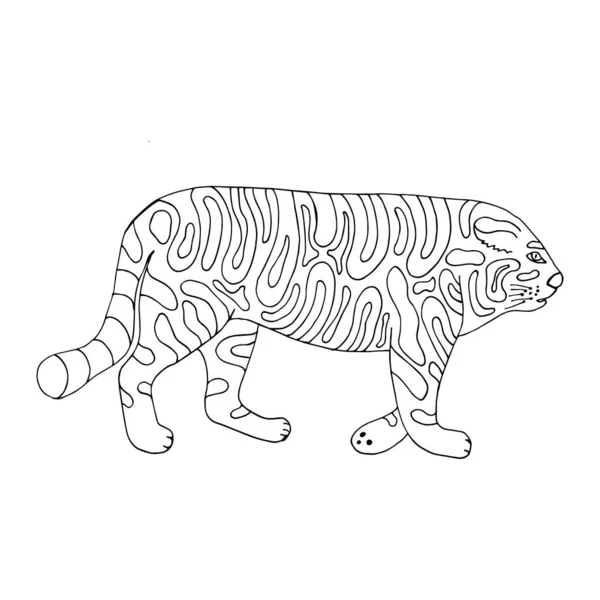 Um tigre engraçado. Personagem vetorial em estilo cartoon. Mão desenhada em estilo doodle. Isolado. Desenhos para colorir para crianças e adultos — Vetor de Stock