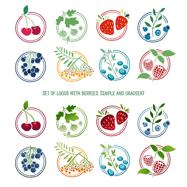 Conjunto de logotipos, emblemas, sinais, etiquetas com ervas e frutas. Cor simples e gradiente. Modelo de design. Cerejas, amoras, morangos, groselhas, rowan, groselha, framboesa. Vector. — Vetor de Stock