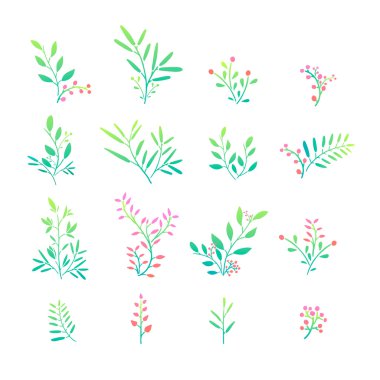 bitki öğeleri kümesi.