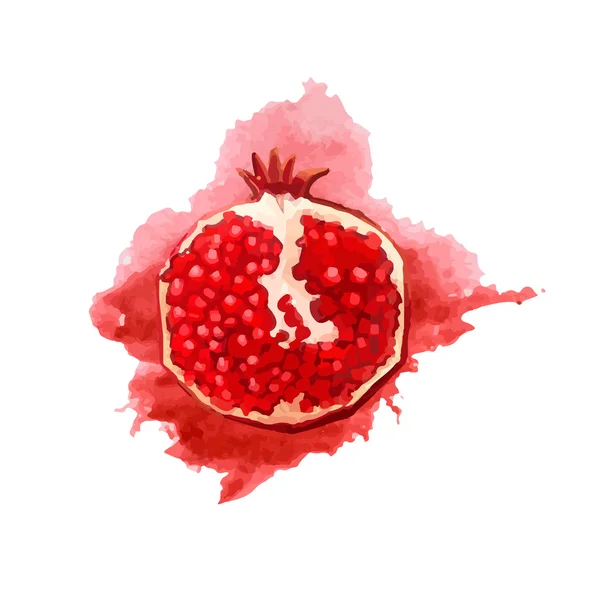 Portion of pomegranate in a watercolor style - Stok Vektor