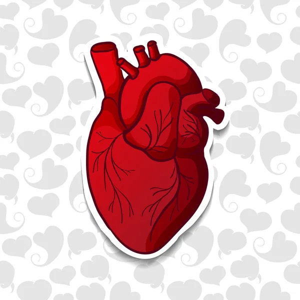 Dibujo del corazón humano — Vector de stock