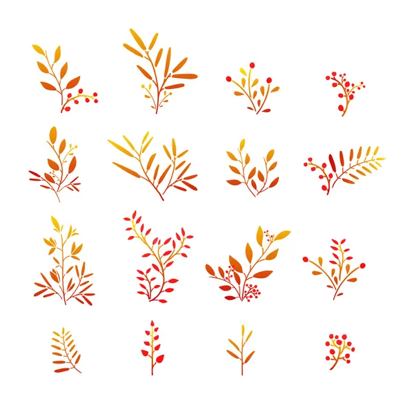Set of autumn plant elements —  Vetores de Stock