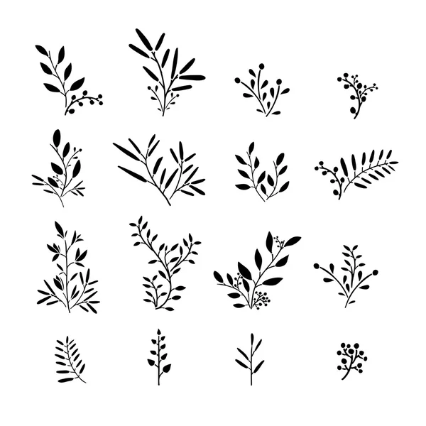 Set of monochrome plant elements — Stock Vector