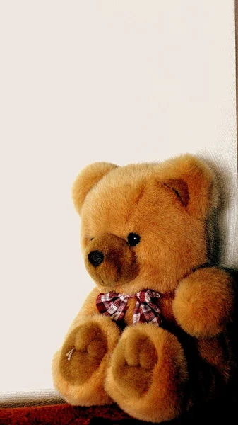 Teddy bear. — Stock Photo, Image