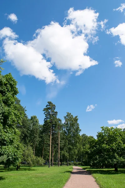 Blue sky with clouds Royalty Free Stock Images