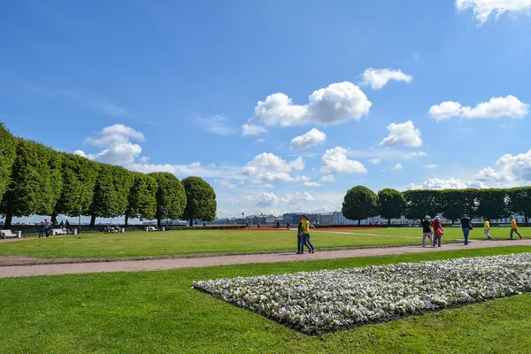 St. Petersburg, Rusya Federasyonu'Vasilyevsky adasının tükürük. Temmuz ' 2015