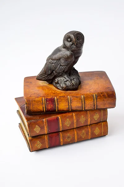 Mądra sowa siedzi na mądrych książek. — Zdjęcie stockowe
