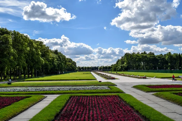 Piskaryovskoye memorial mezarlığı Leningrad.