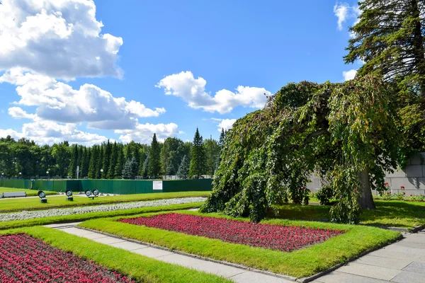 Cementerio conmemorativo de Piskaryovskoye en Leningrado . — Foto de Stock