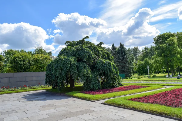 Piskaryovskoye memorial cemetery in Leningrad. — Stock Photo, Image