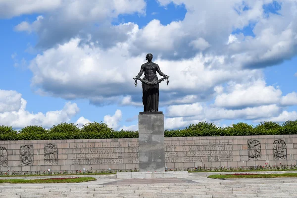 Vatan anıt. Piskaryovskoye memorial mezarlığı Leningrad.