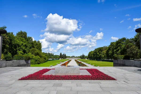 Piskaryovskoye memorial mezarlığı Leningrad ebedi ateşe.
