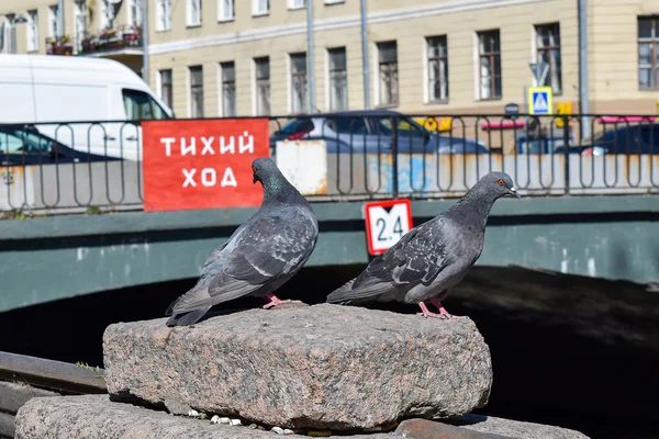 Le remblai du canal Griboyedov à Leningrad . — Photo
