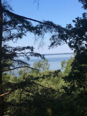 Ağaçlardan Braslavskoe Gölü manzarası