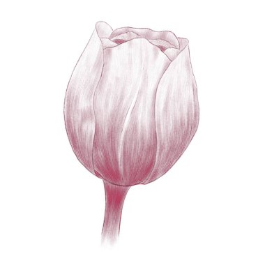 Çizgi çizimleri renklendirme sayfaları, beyaz arkaplan izole ögeler üzerinde çeşitli parçalar