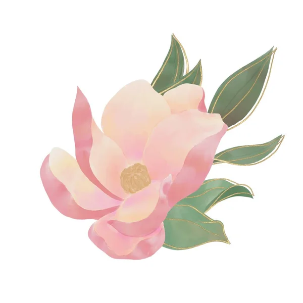 Dekorativa Sammansã Ttning Rosa Ppen Magnolia Blomma Och Grã Blad Royaltyfria Stockbilder