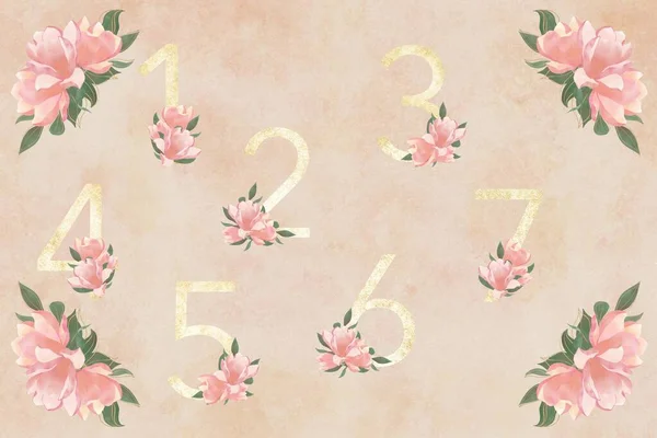 Wzór Wydruku Plan Siedzenia Różowe Kompozycje Kwiatowe Złotymi Numerami — Zdjęcie stockowe