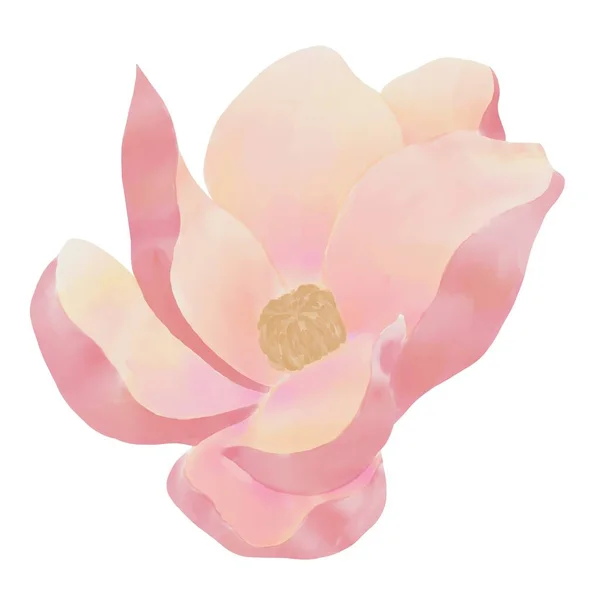 Illustrazione Fiore Magnolia Vista Dall Alto Fiore Rosa Con Gradiente — Foto Stock