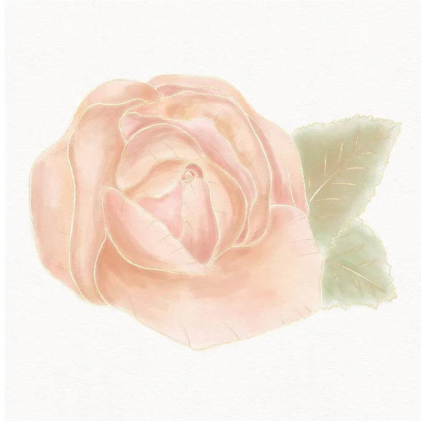 Ilustração Aquarela Uma Rosa Cor Pêssego Com Folhas Com Gradiente — Fotografia de Stock