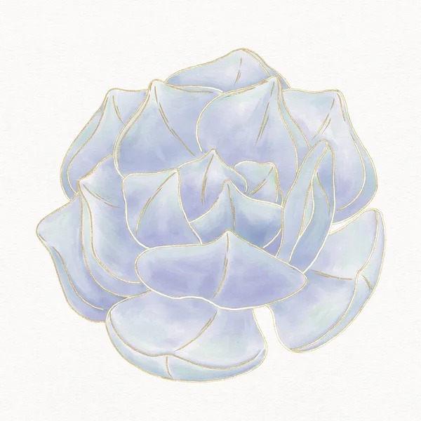 Illustration Flower Succulents Blue Purple Shades Golden Outline Textured Watercolor — Stock Photo, Image