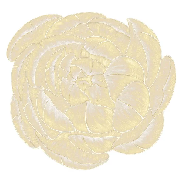 Декоративний Елемент Золота Вилуплена Ілюстрація Соковита Квітка Білому Тлі Ізольована — стокове фото