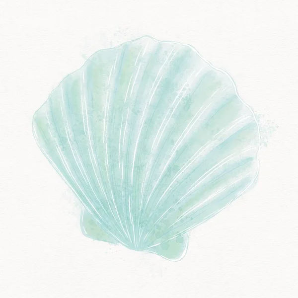 Seashell Havsvåg Färger Akvarell Illustration Strukturerad Vit Bakgrund Stockfoto