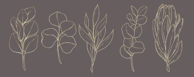 A set of contour gold illustrations of various leaves and twigs on a gray background