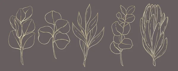 Set Contour Gold Illustrations Various Leaves Twigs Gray Background — Stok fotoğraf