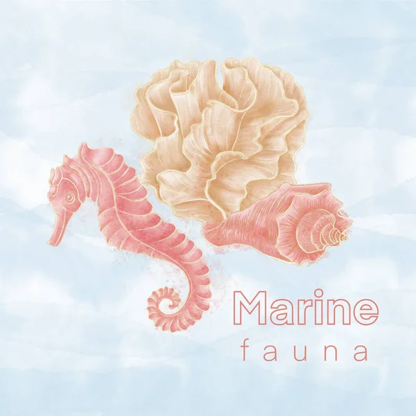 Composition Marine Theme Seahorse Corals Shell Blue Background — ストック写真