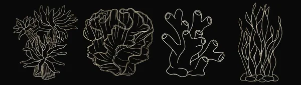 Контур Декоративні Золоті Ілюстрації Водоростей Коралів Чорному Тлі — стокове фото