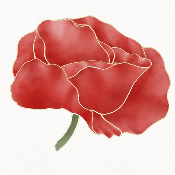 Watercolor Illustration Red Poppy Flower Side View Isolated Element White — Fotografia de Stock