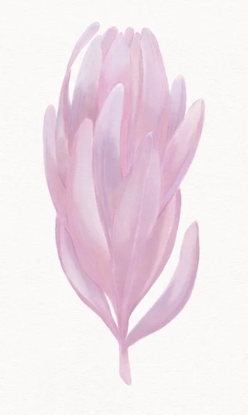 Акварельные Иллюстрации Веточки Розовыми Лиловыми Листьями Белом Фоне — стоковое фото