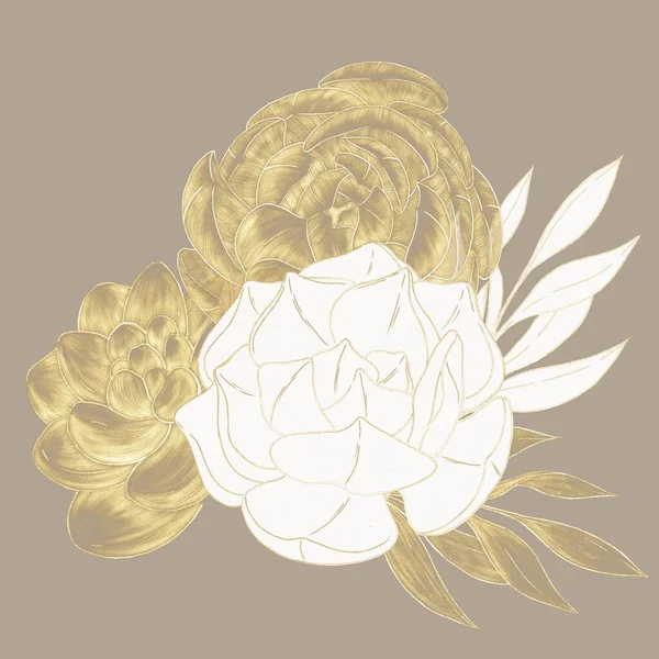 Floral Composição Decorativa Suculentas Ouro Eclodiu Ilustrações Contorno — Fotografia de Stock