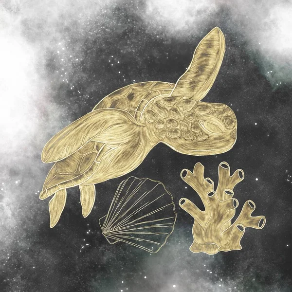 Uma Composição Ouro Eclodiu Ilustrações Uma Tartaruga Conchas Molusco Corais — Fotografia de Stock