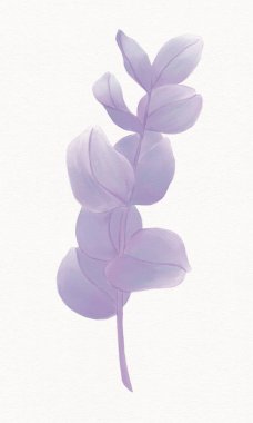 Beyaz arkaplan illüstrasyonunda leylak renginin dekoratif suluboya dalı