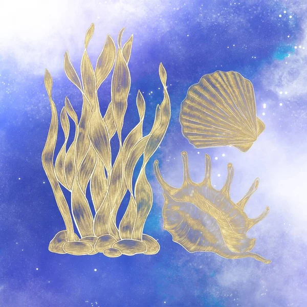 Uma Composição Ilustrações Douradas Brilhantes Conchas Algas Marinhas Fundo Céu — Fotografia de Stock