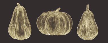 Altın, dekoratif, kabak çizimleri koyu arkaplanda.